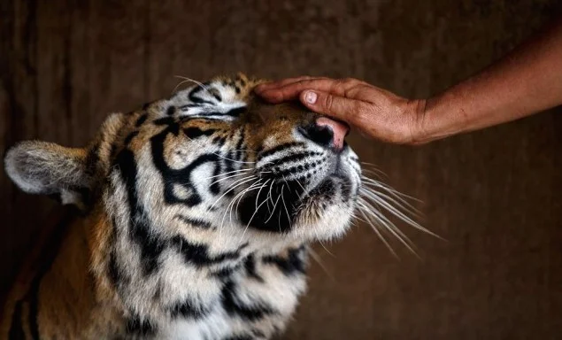 photographer&nbsp;Athit Perawongmetha&nbsp;and&nbsp;Sakchai Lalit.'s work