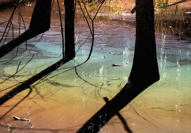 American photographer Jessica Hines 's work