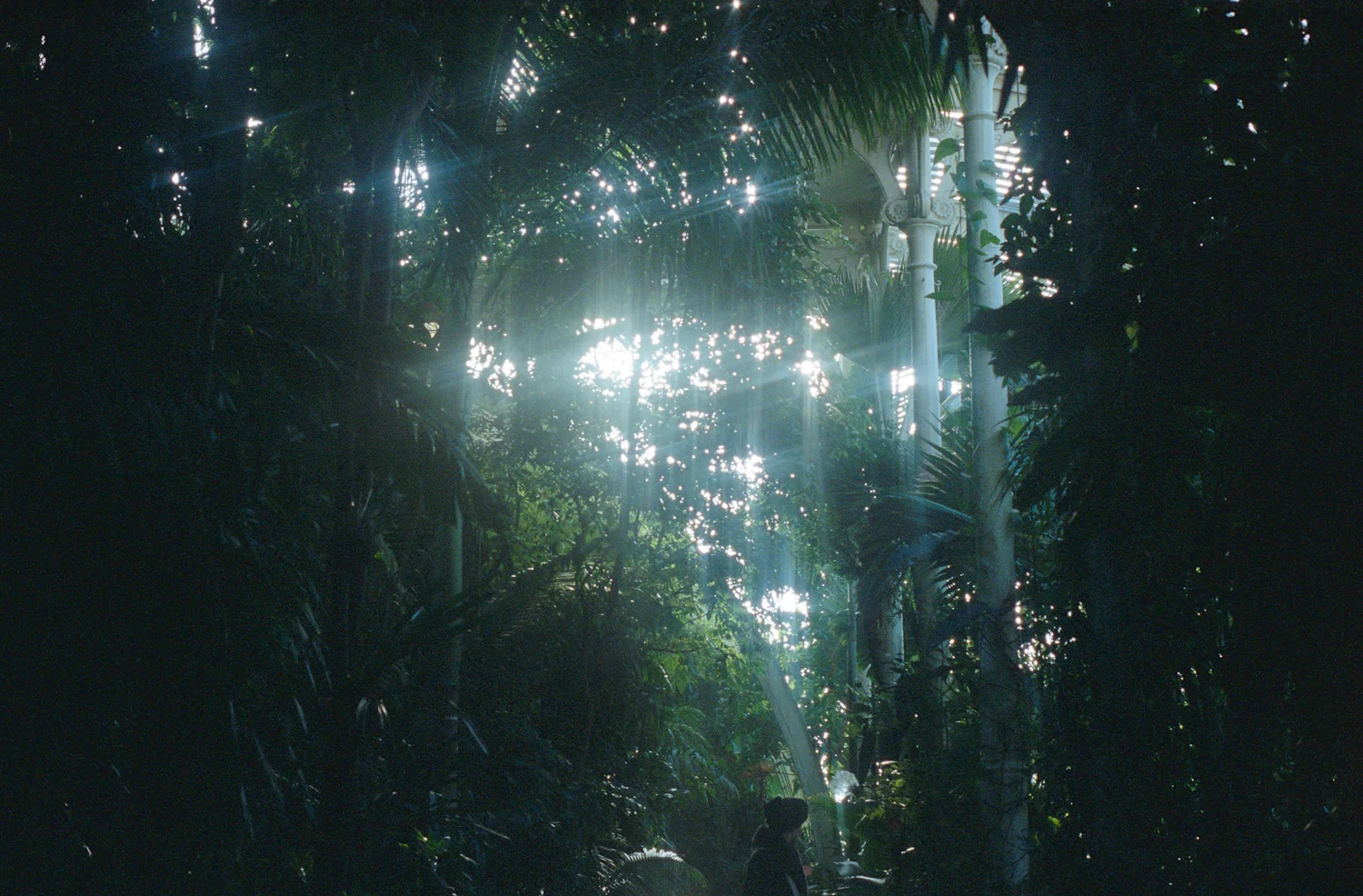 3 (16 of 21).jpg