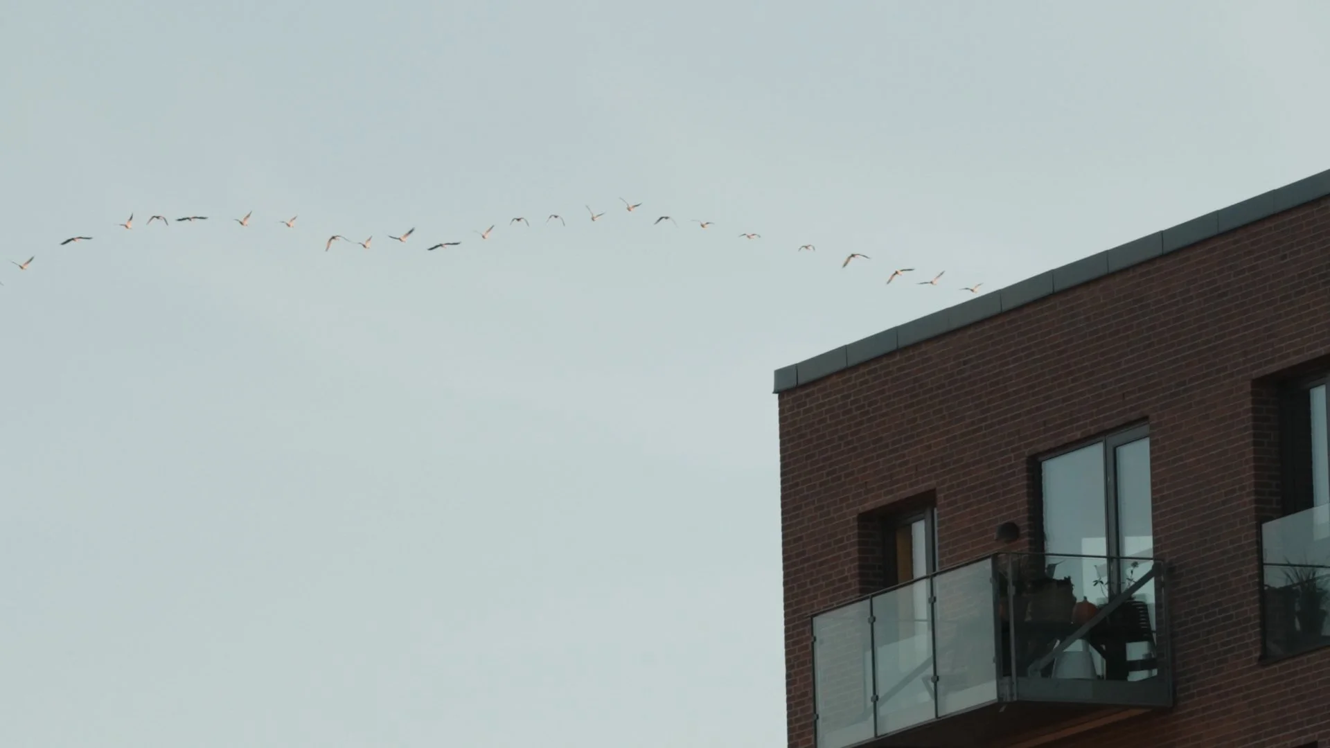 Video documentation of performance by Lundahl & Seitl and Untold Gardens Unknown Cloud Forming for KØS Museum of Art in Public Spaces