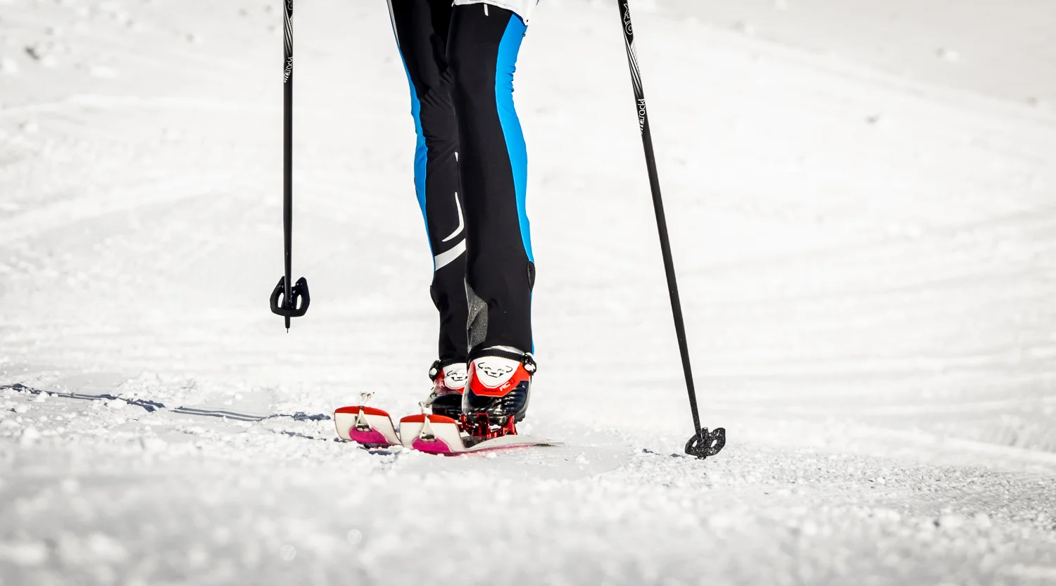 RIDGE-2015-1-2.JPG