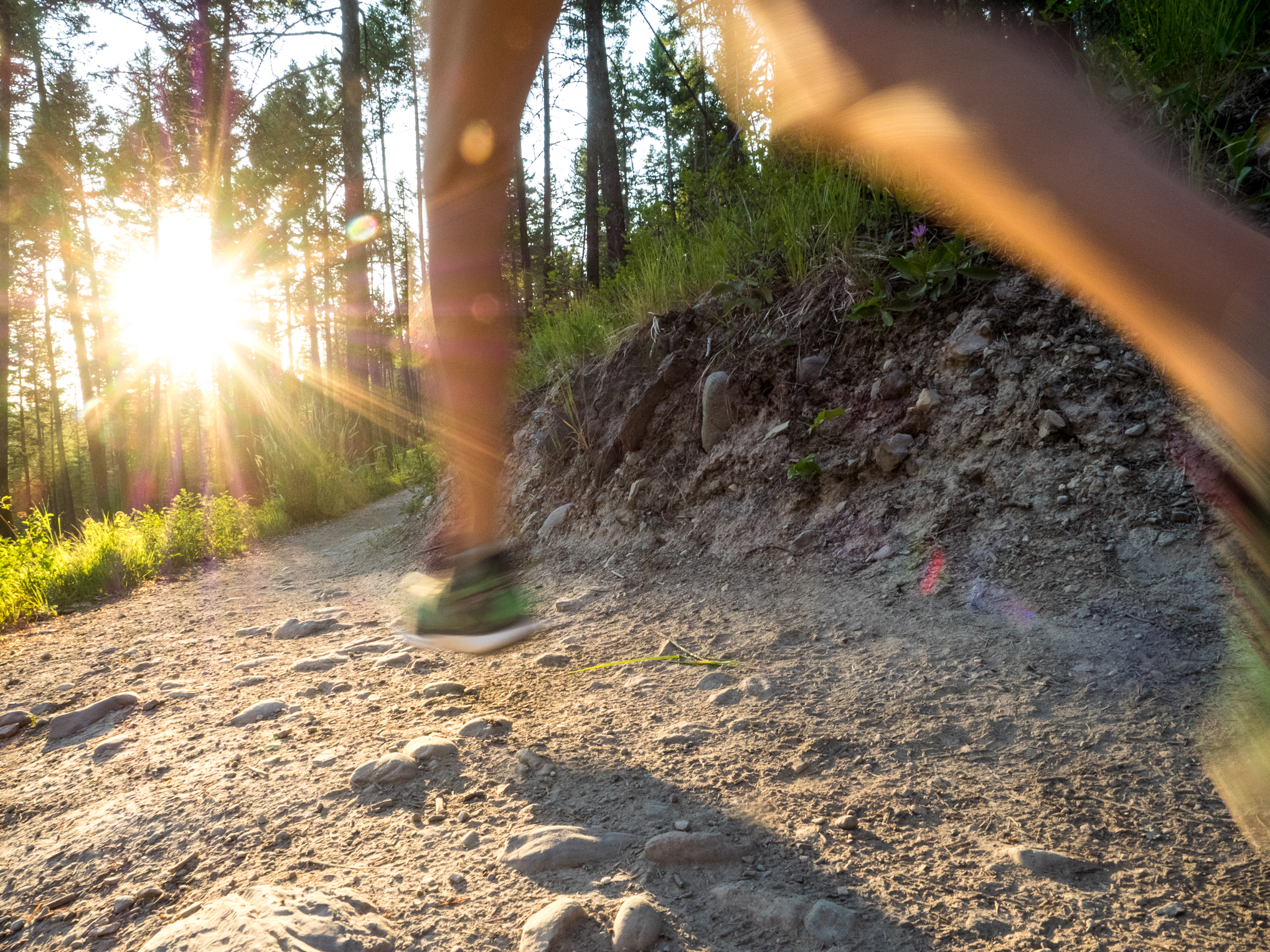 RIDGE-Academy-trail-running-athlete-training-semester
