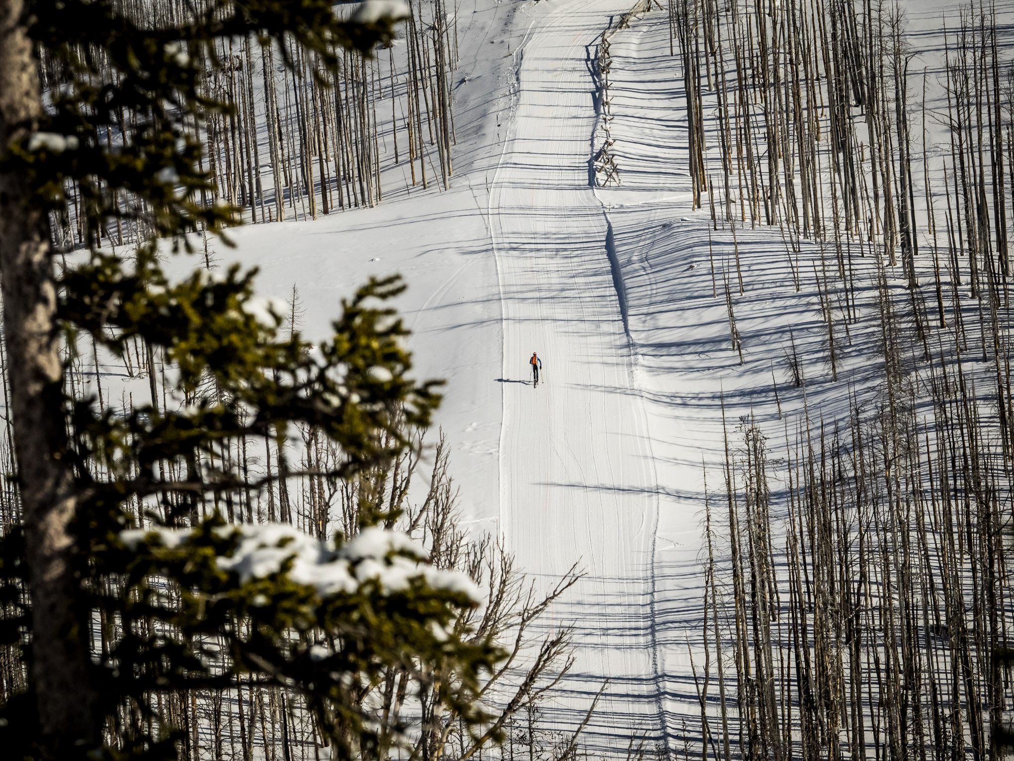 Skimo-racing-RIDGE-Academy-28.jpg
