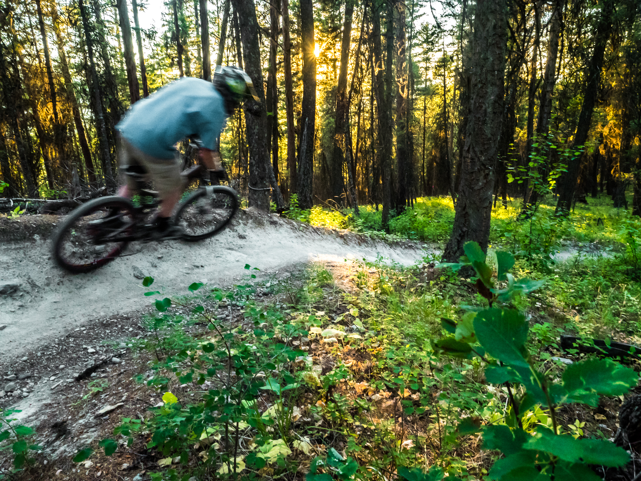 RIDGE-Academy-mountain-biking-in-the-Rocky-Mountains