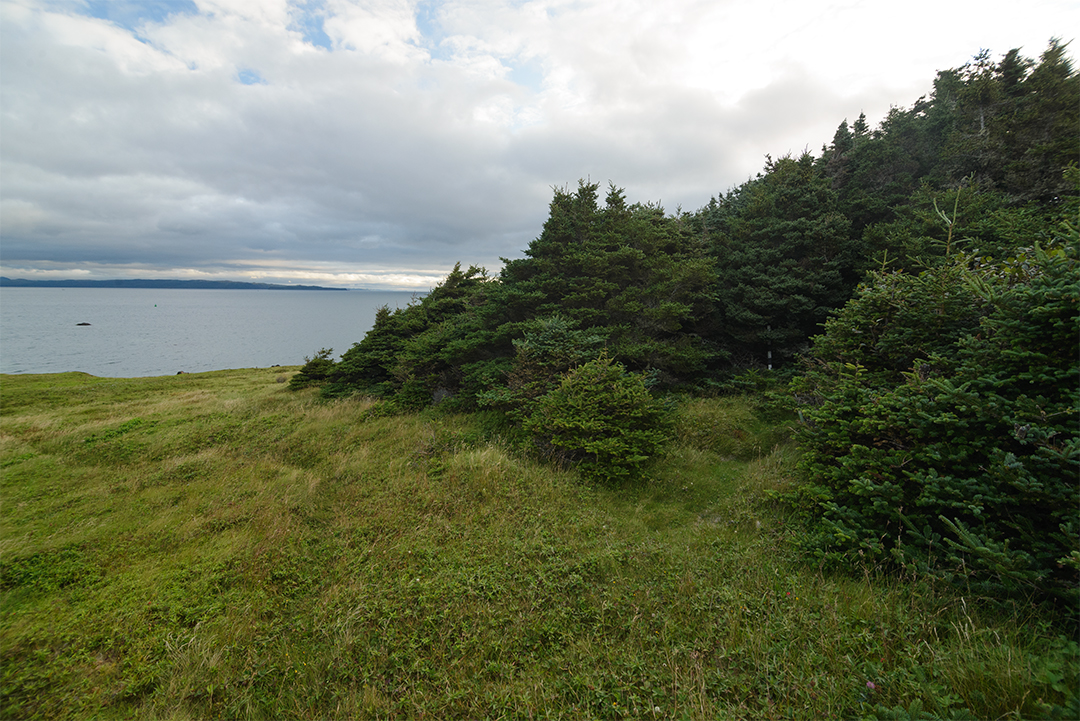 DSC_9421-1.jpg