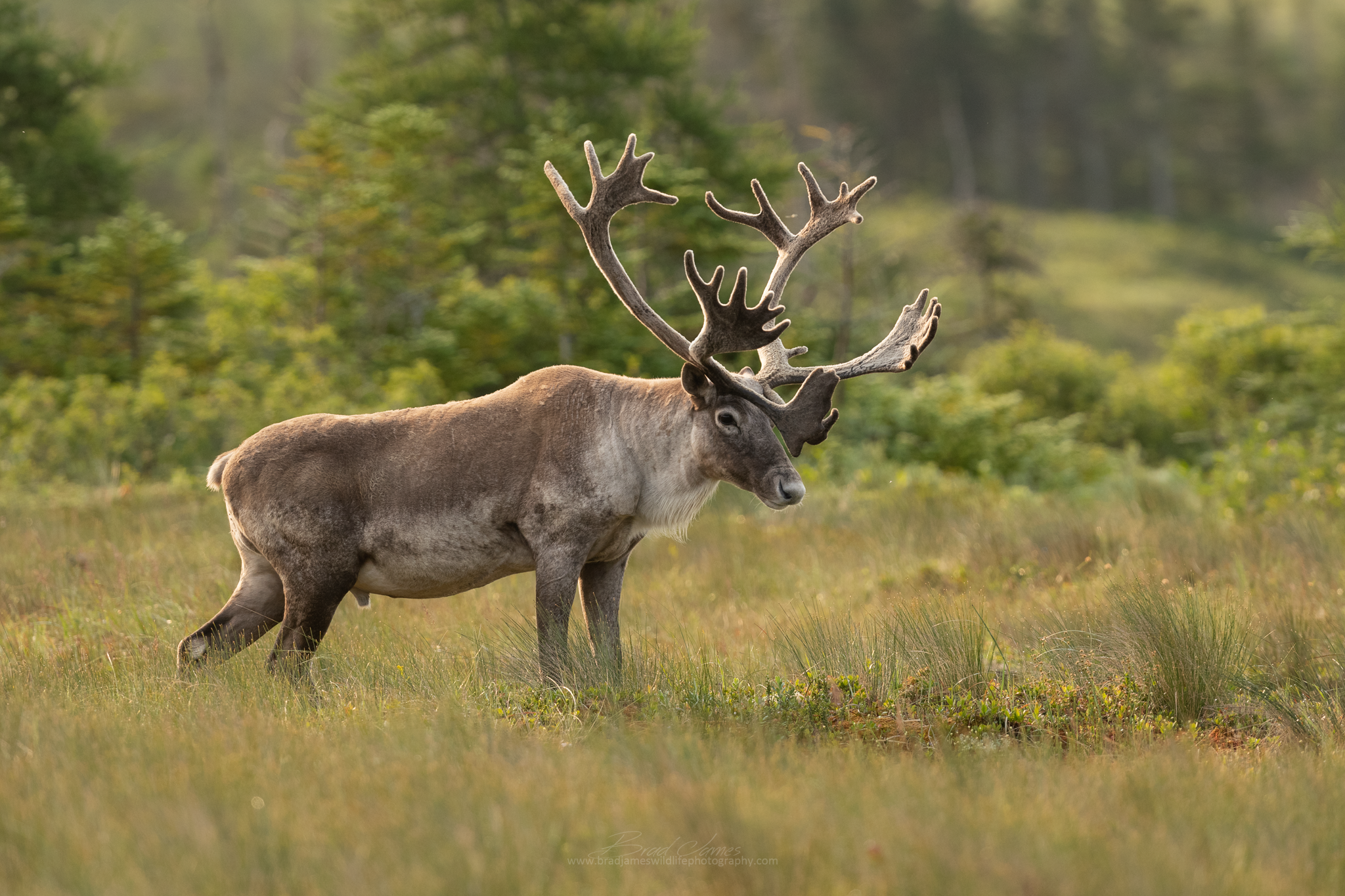 In The Land of Giants Part 2...