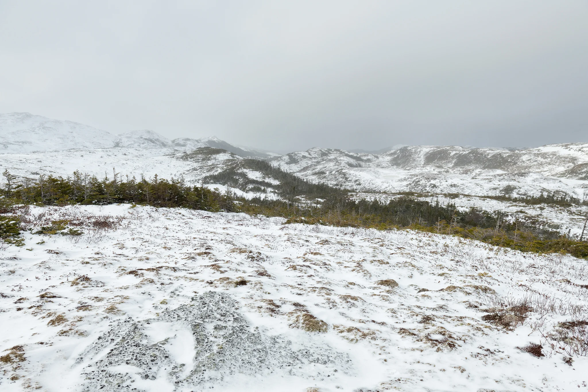 DSC_1050-1---Copy.jpg