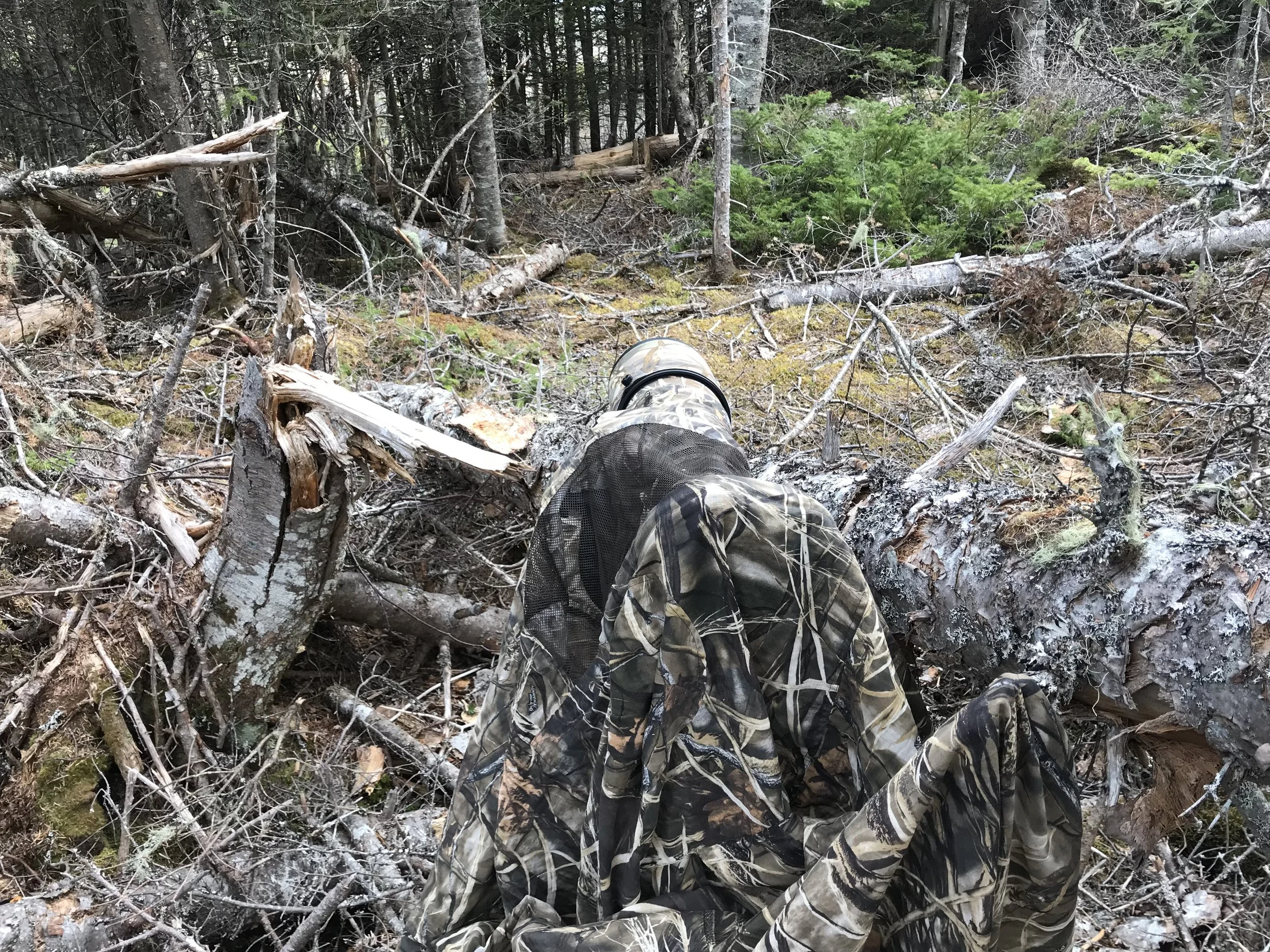 Photo 2019-05-05, 8 13 58 AM.jpg