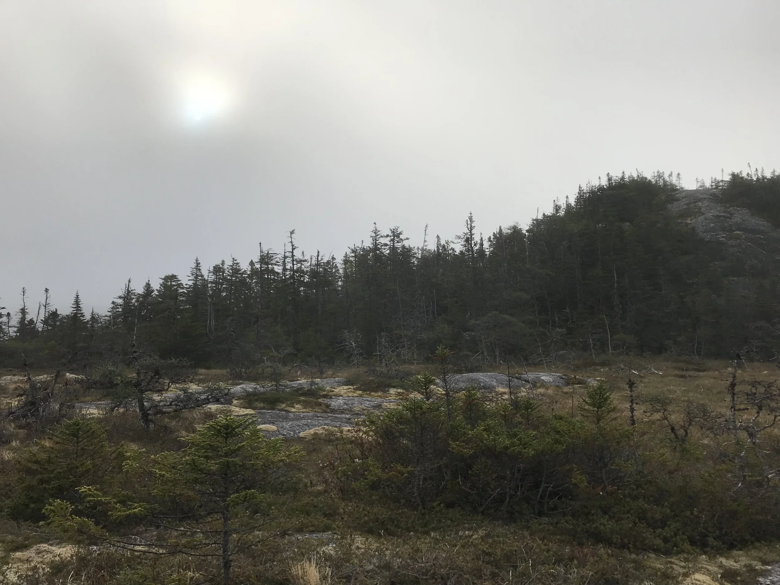 Photo 2019-06-15, 6 58 31 AM.jpg