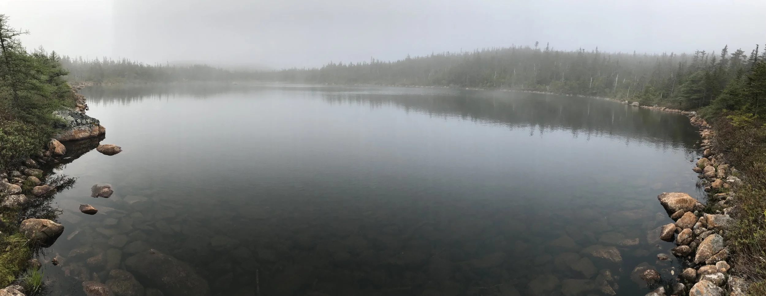 Photo 2019-06-15, 7 08 19 AM.jpg
