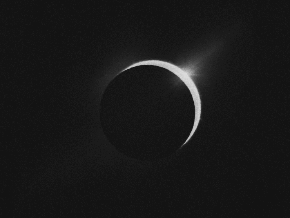 upload-4b51b340-ac65-11e8-b9e6-a1fa2b251623.gif