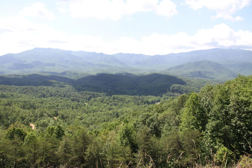 KB_smokies_9919.jpg