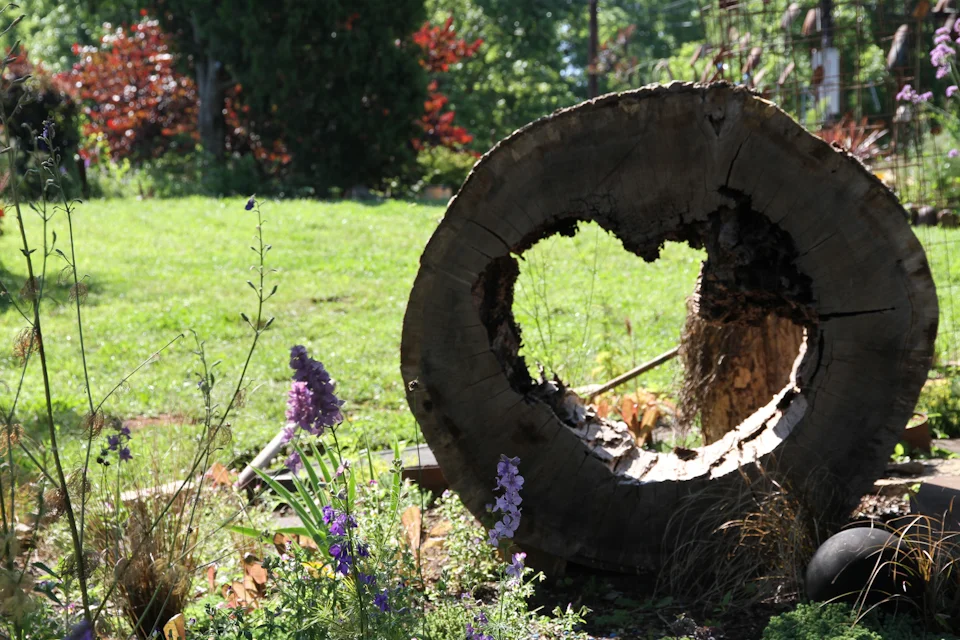 KB_AshvilleArtGarden-9822.jpg