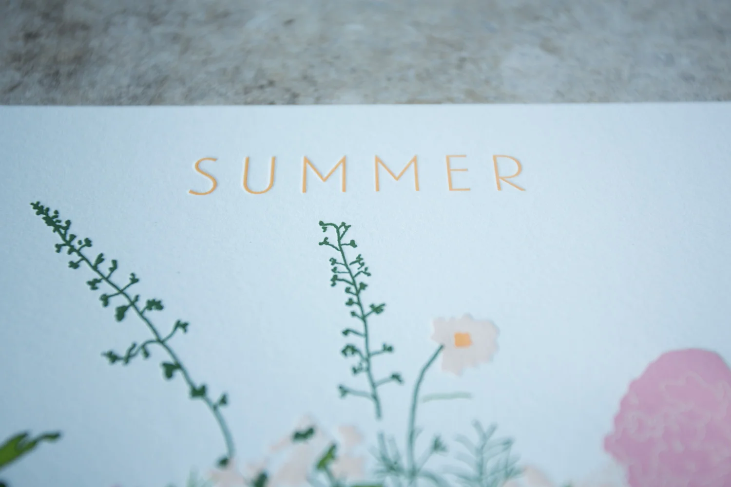 bpp_saipua_perennial calendar_2014-6868.jpg