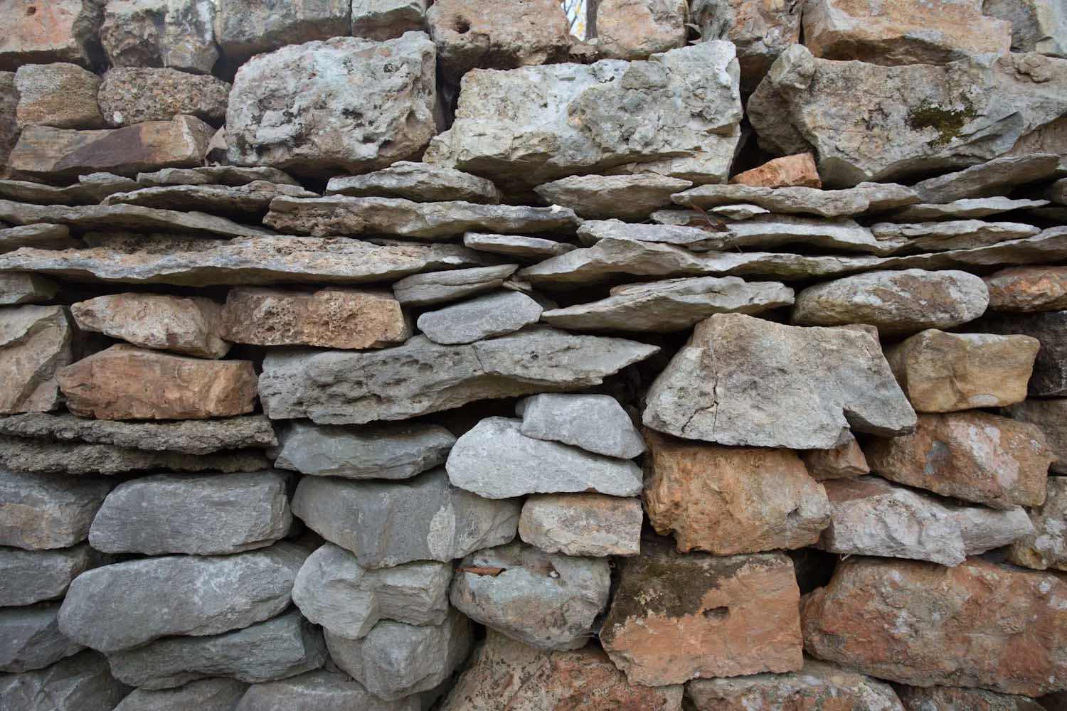 the_wall_florence_al-9957.jpg