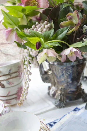 hellebores_seashells_beauty-1426.jpg
