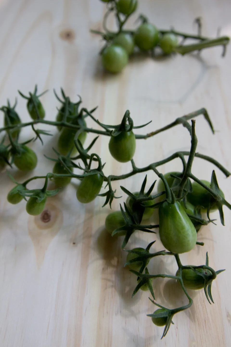 KB_pickledgreentomatoes-2155-2.jpg