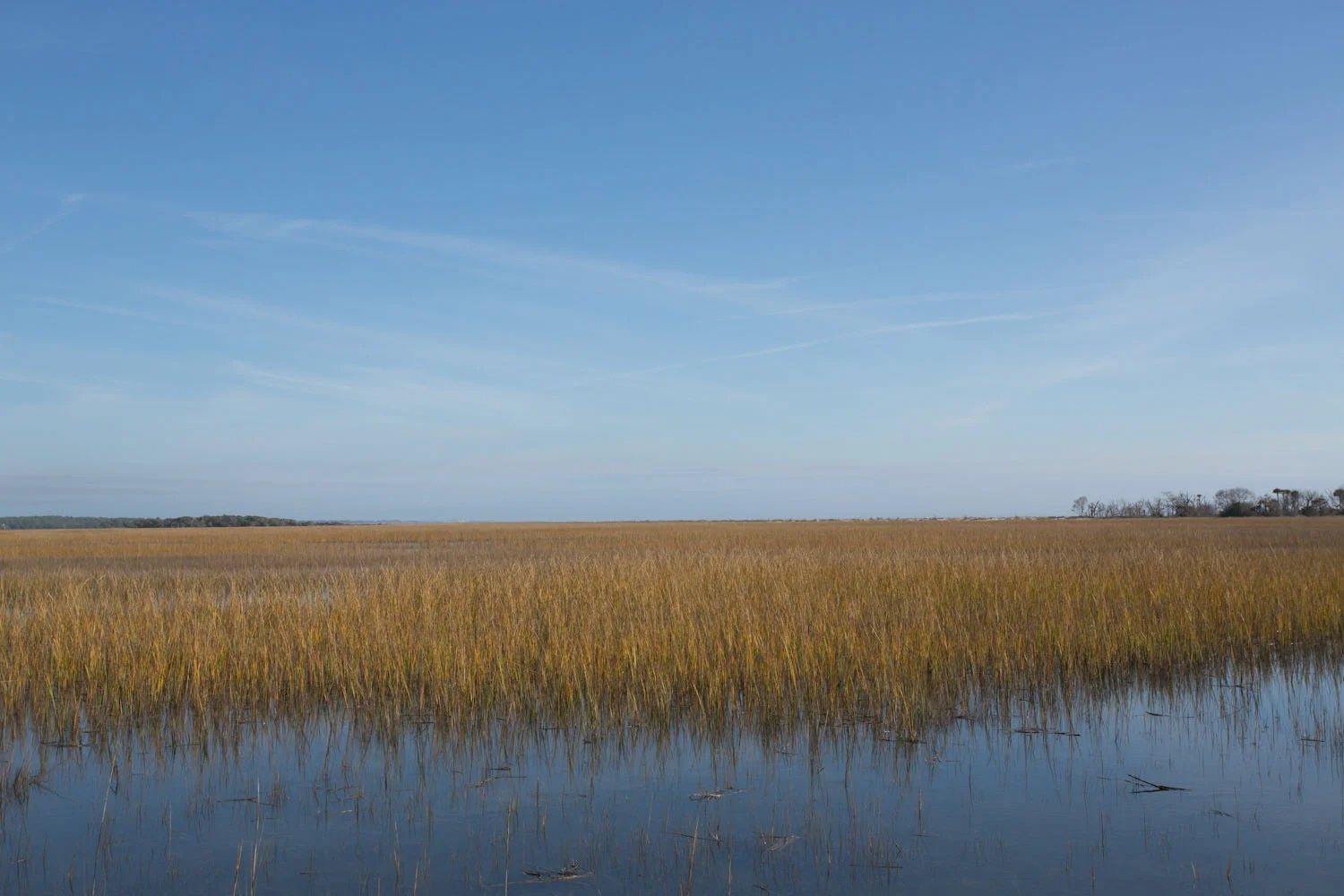 edisto_and_botany_bay-5580.jpg