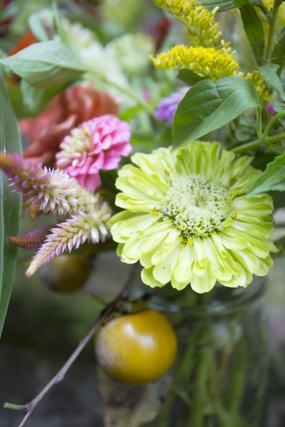 zinnias and fall color-7139.jpg