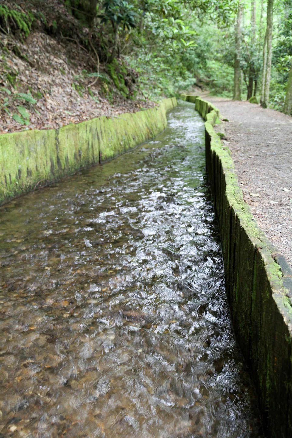 KB_MingusMill-Smokies-0229.jpg