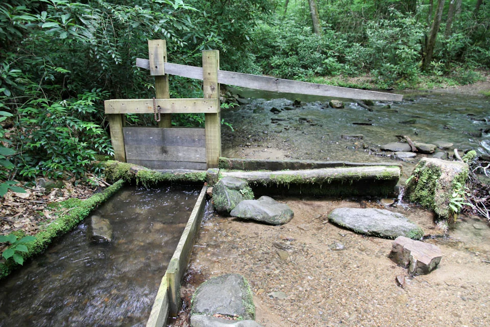 KB_MingusMill-Smokies-0235.jpg