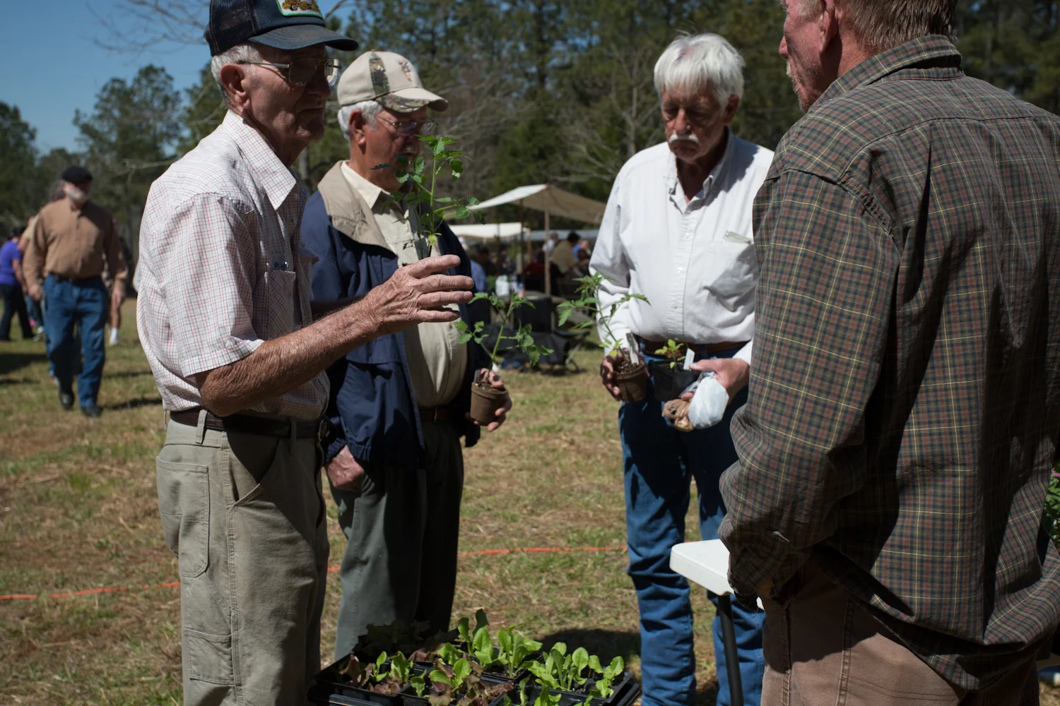 old_timey_seed_swap-3931.jpg
