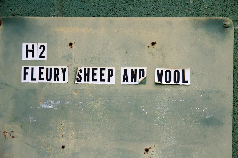 KB_Fleurysheepandwool-8260.jpg
