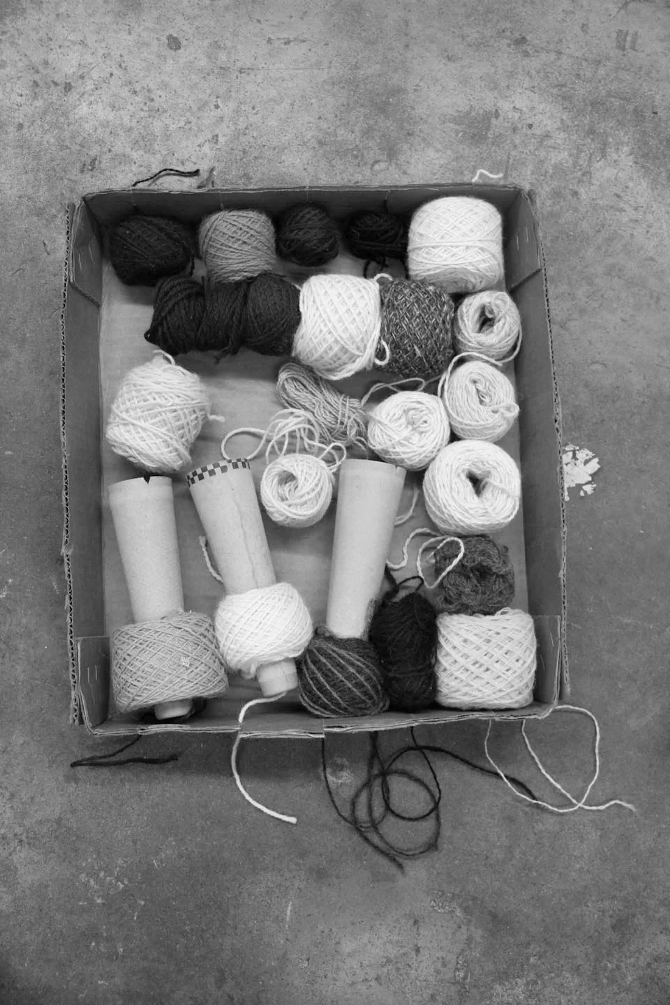 KB_Fleurysheepandwool-8308.jpg