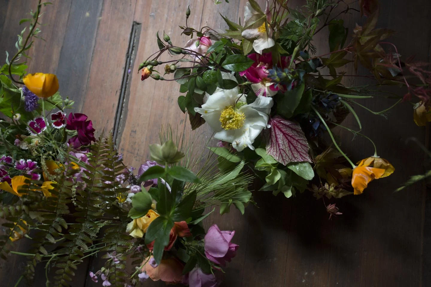 seasonal bloom-6777.jpg