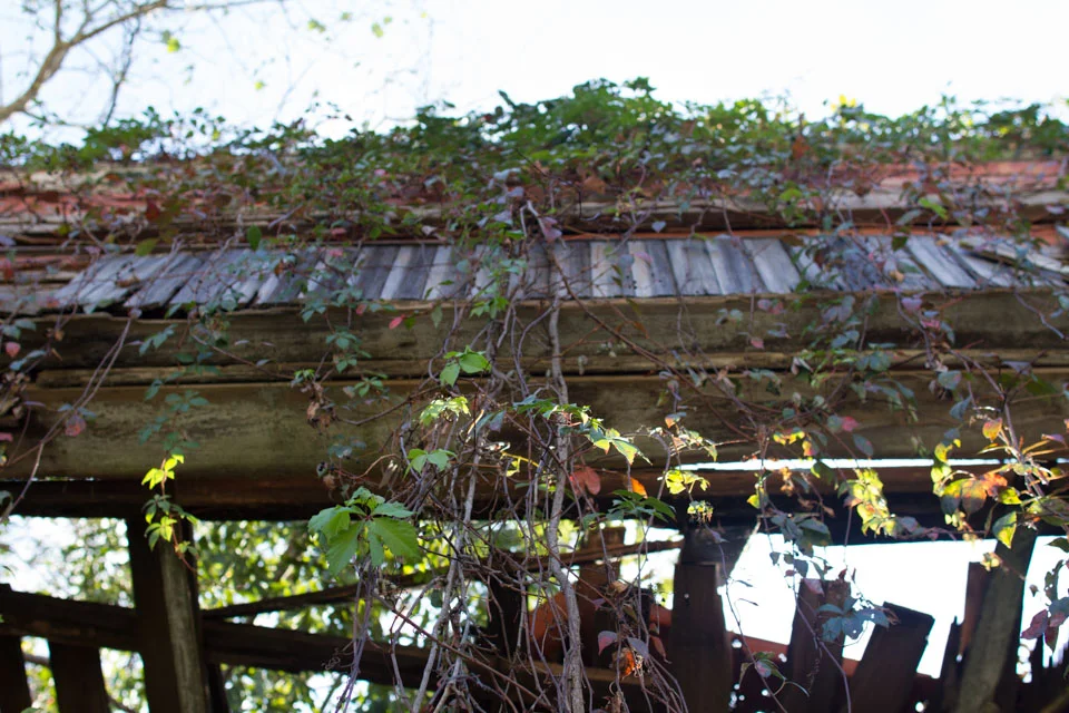 KB_oldtownbuildings-1212.jpg