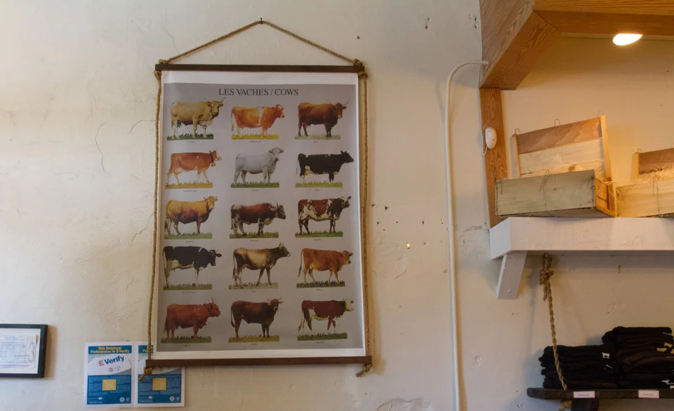 KB_sweetgrassdairy-1123.jpg