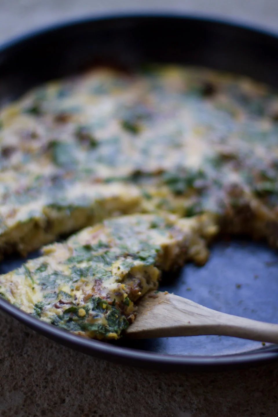 KB_morelfritatta-9380.jpg