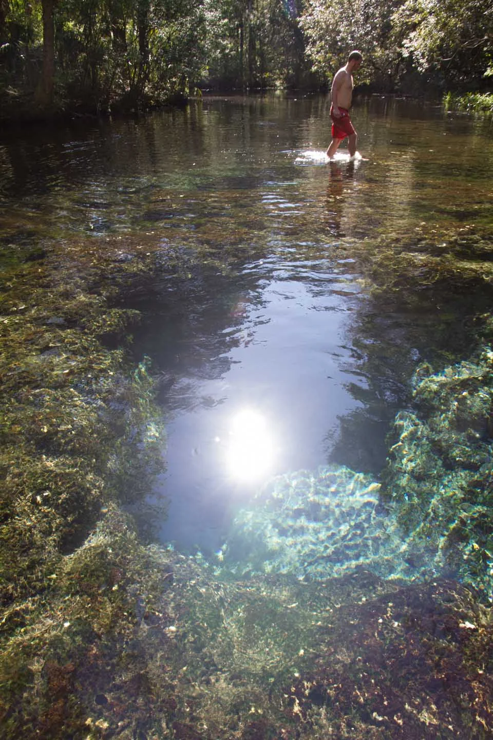 KB_chassahowitzka-river-springs-5957.jpg