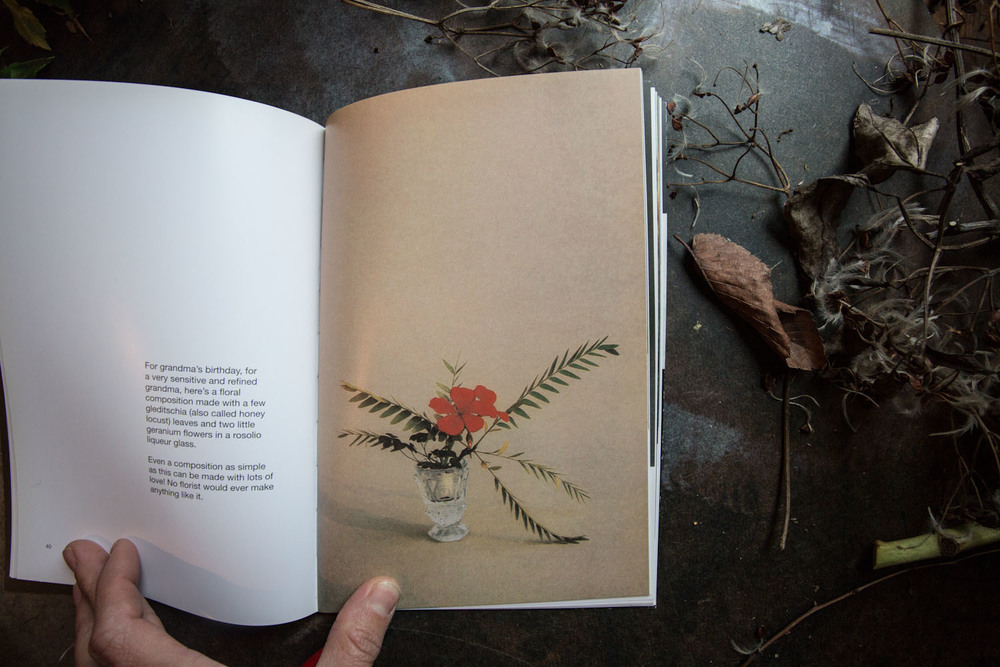 a flower with love — Beauty Everyday