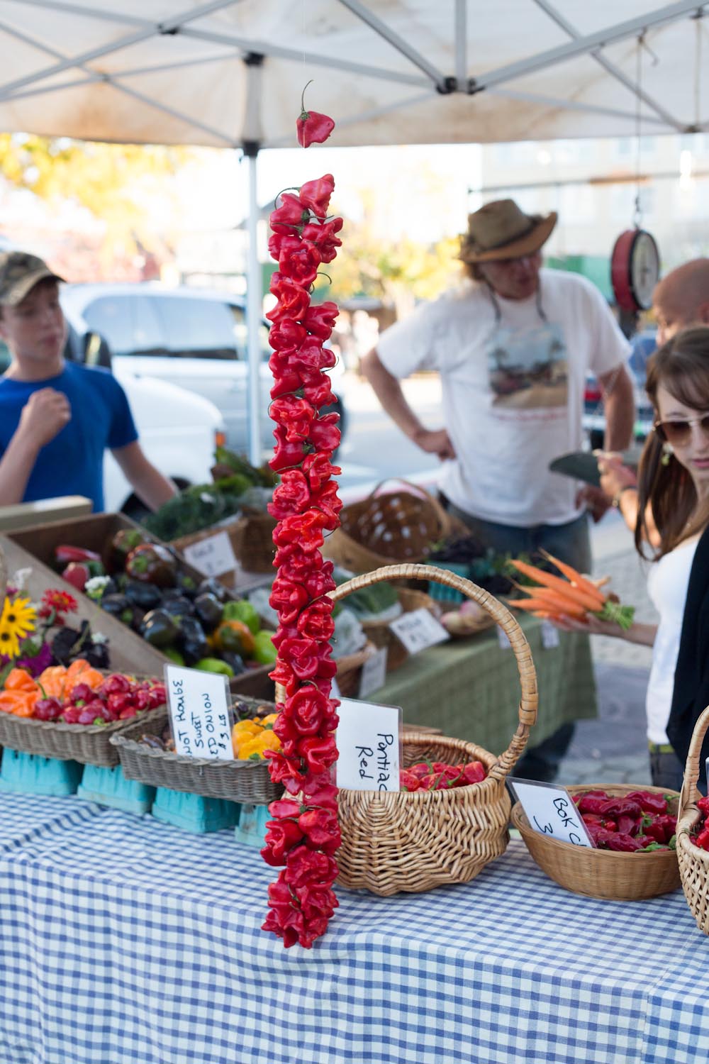 farmer's market inspiration-1578.jpg