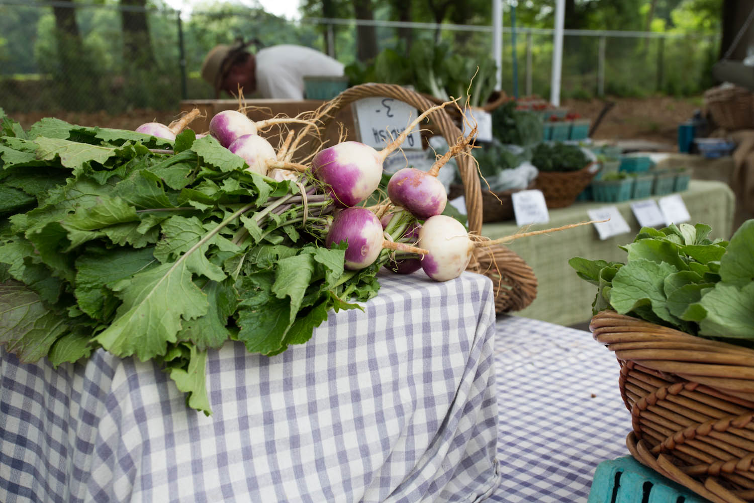 farmer's market inspiration-9819.jpg