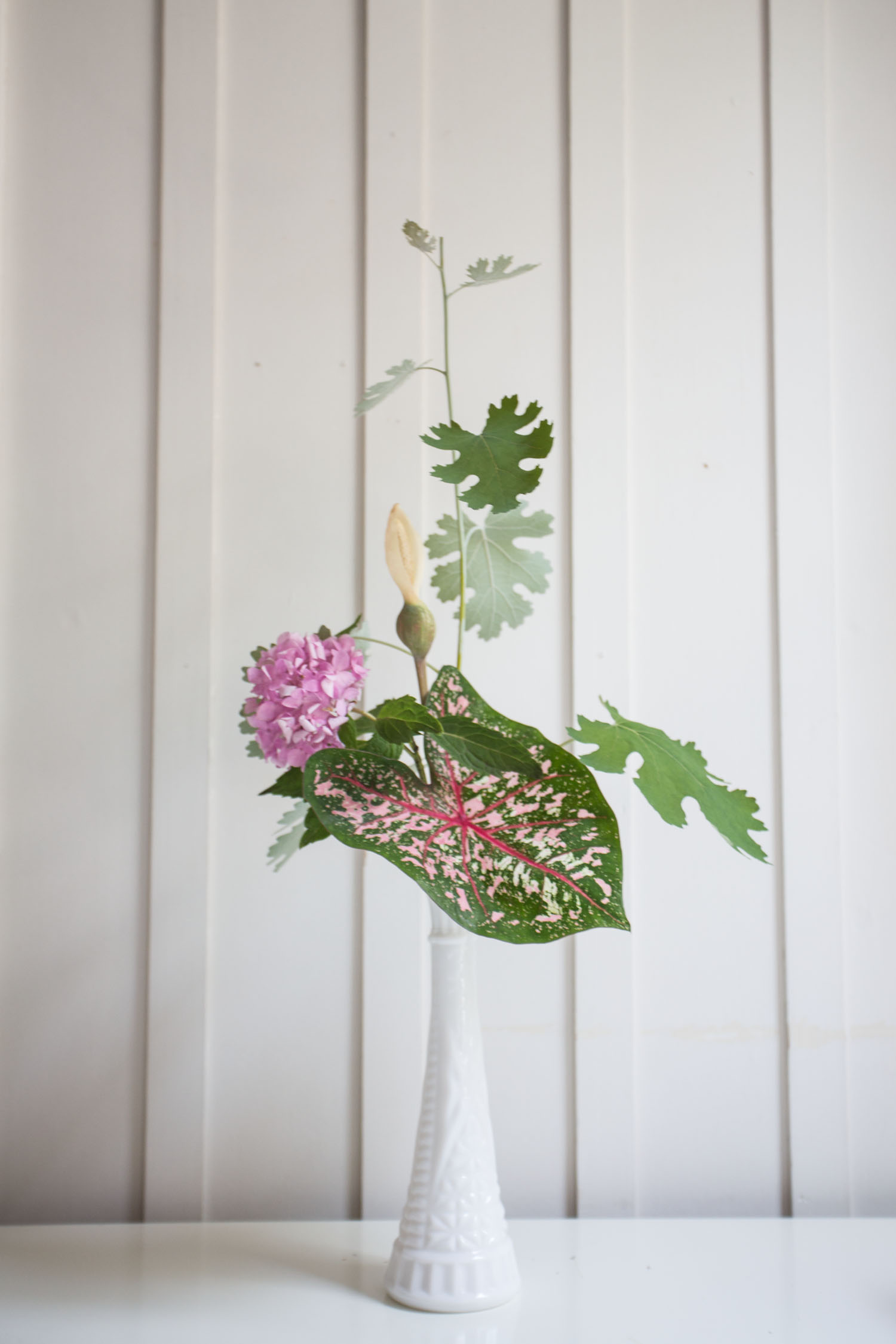 pinks and greygreens-201506241805.jpg