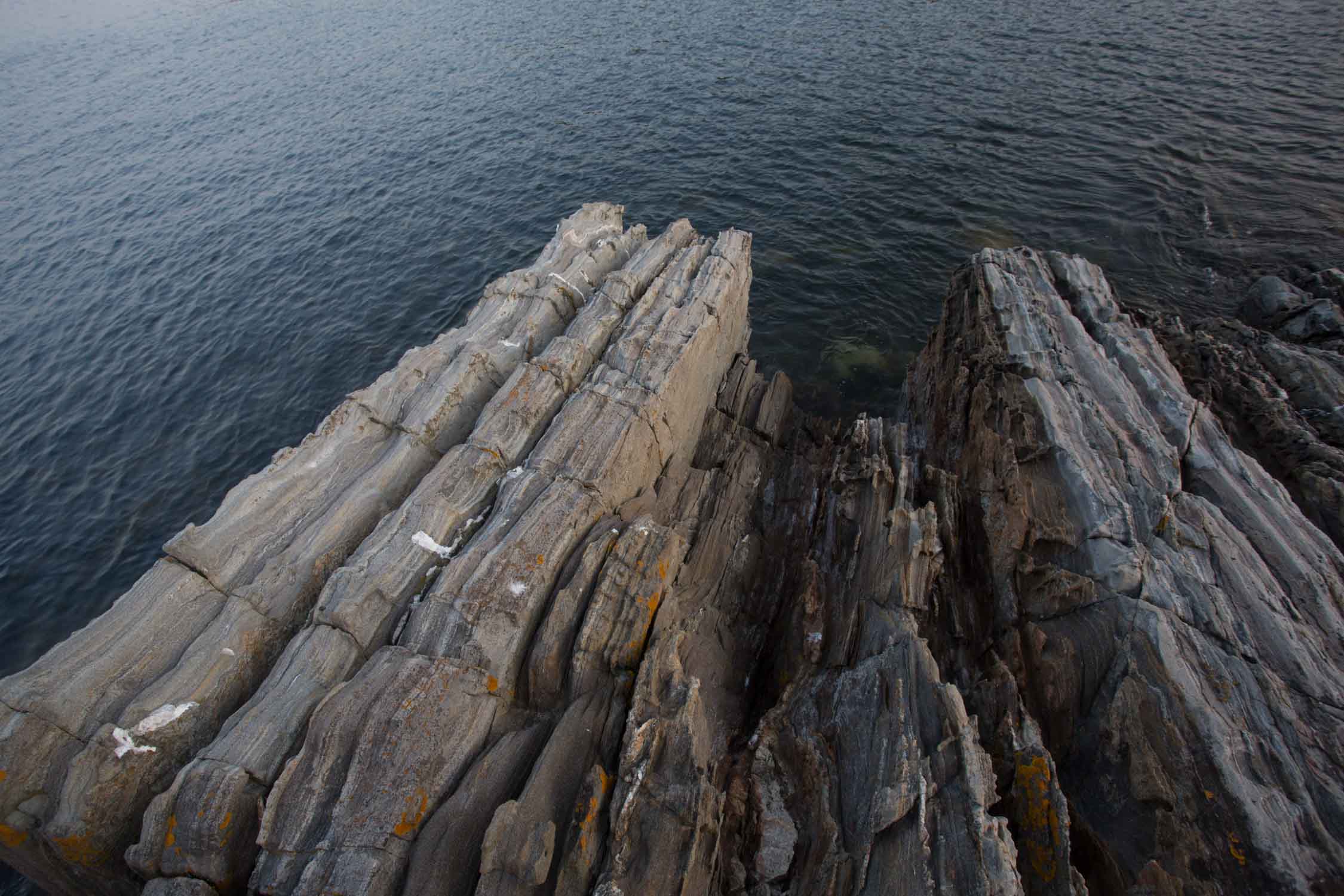 maine_textures-201507109361.jpg