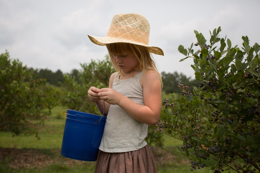 KB_blueberry-picking-8117.jpg