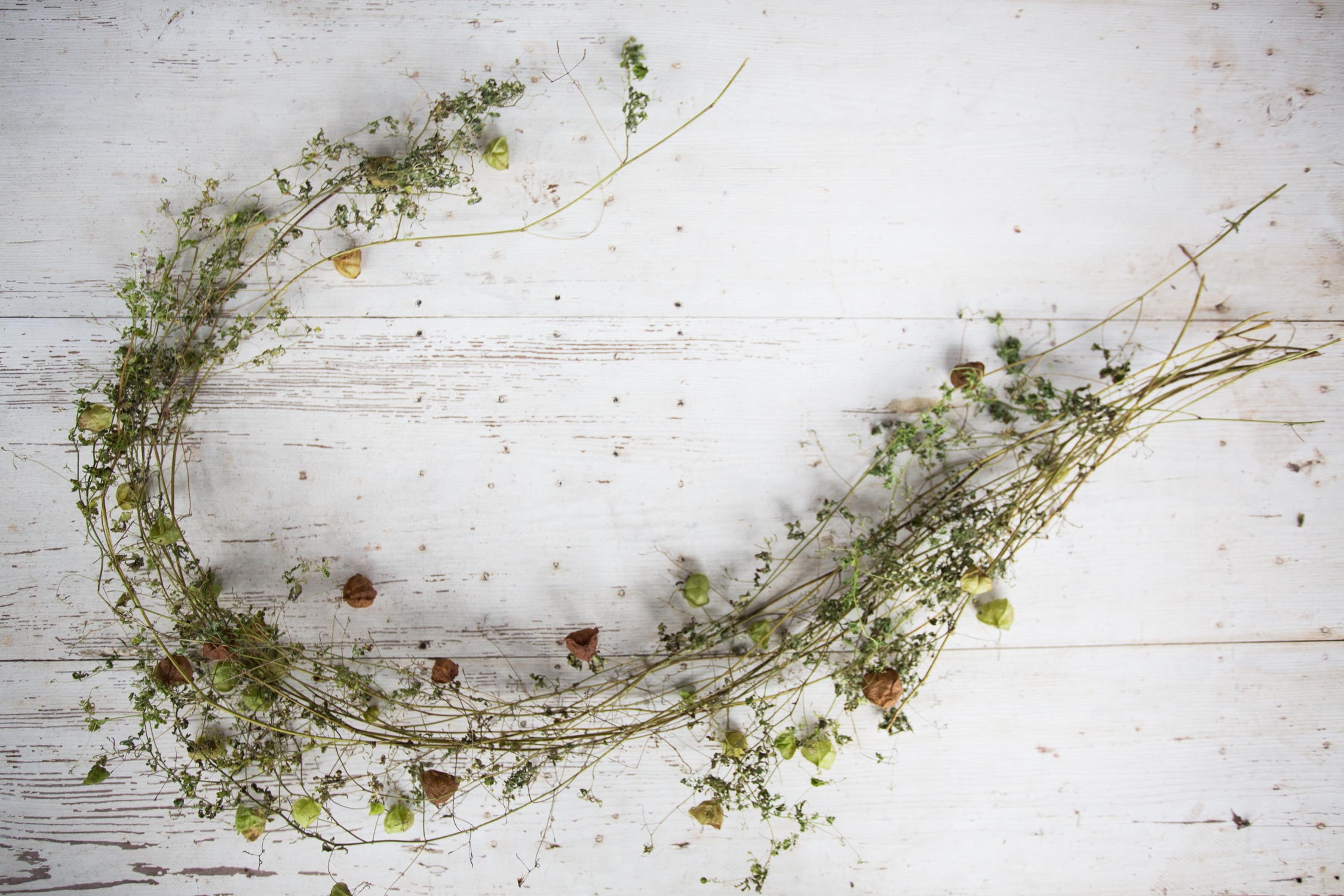 dried greenery wreath-201511096610.jpg