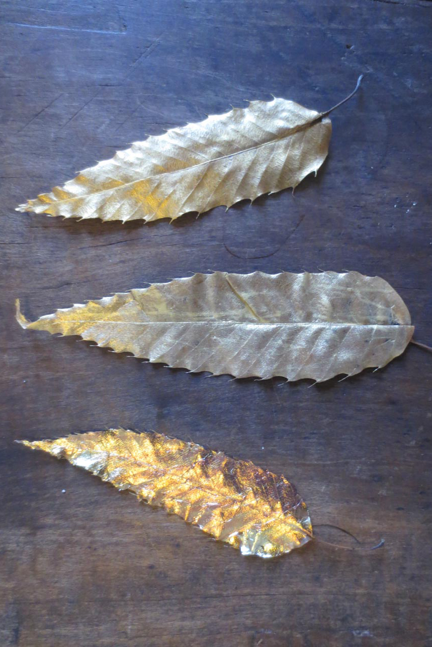 RW_gold leaves-2487.jpg