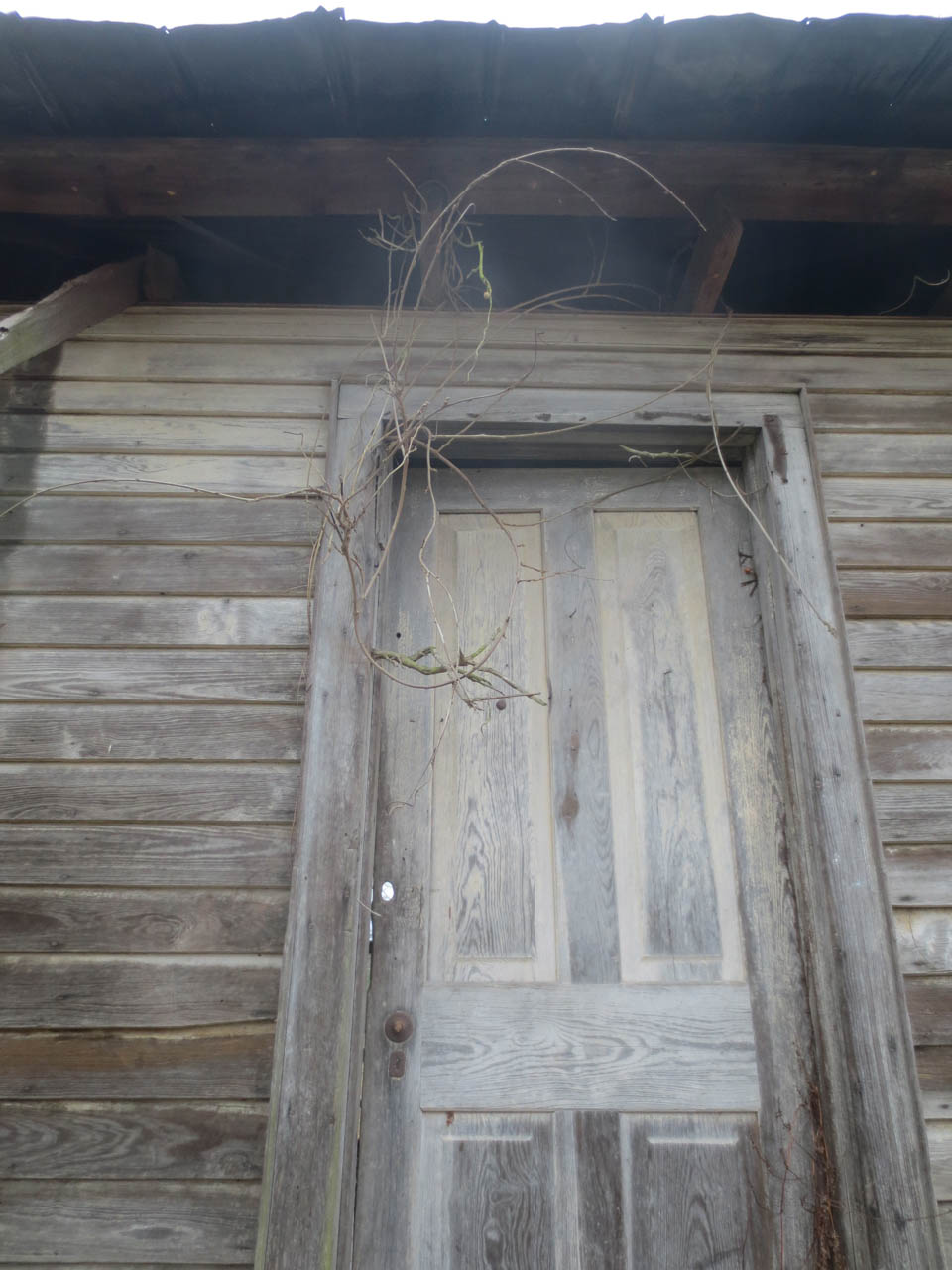 rw_sharecroppers cabin-3688.jpg