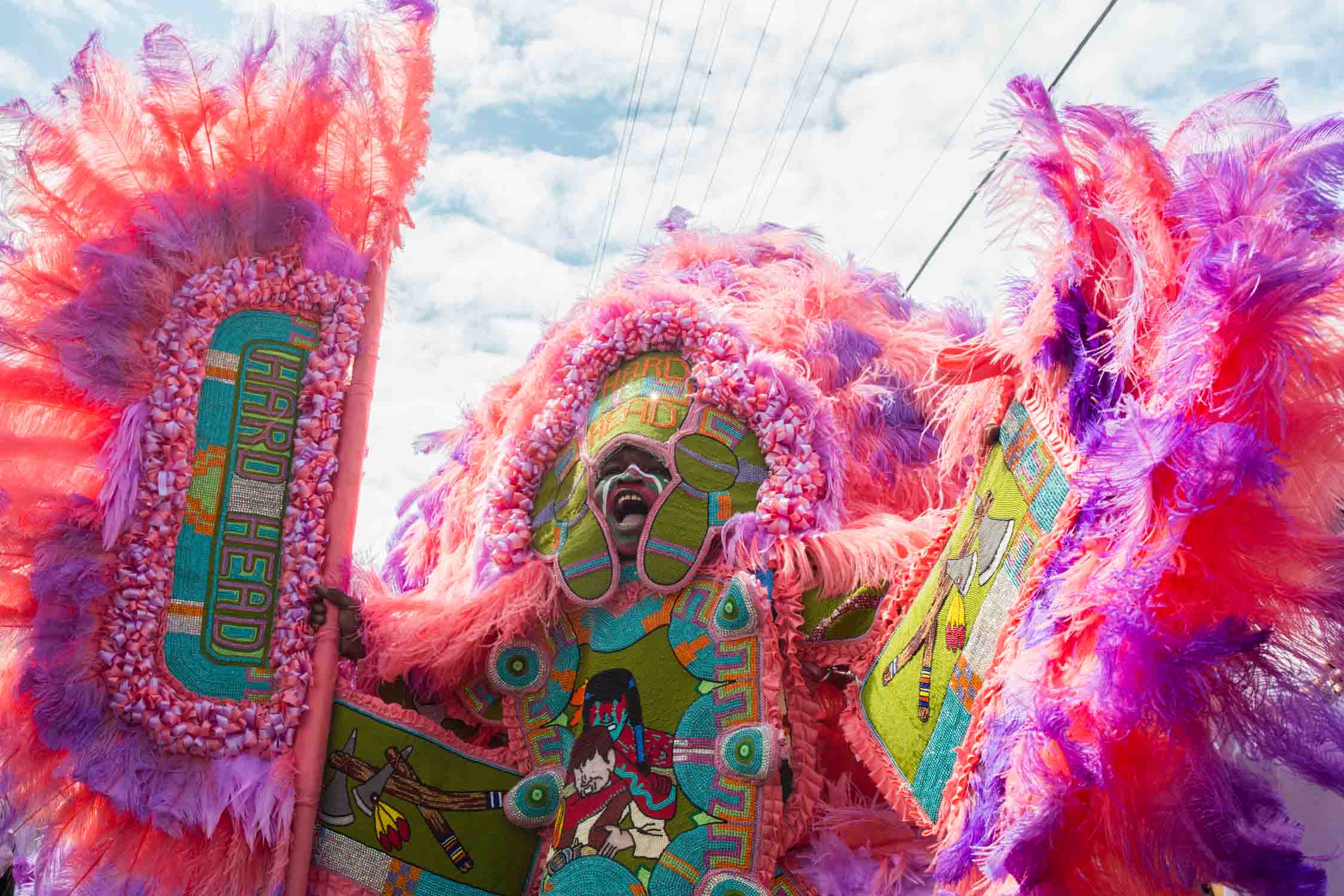 mardi gras indians-201503153296.jpg