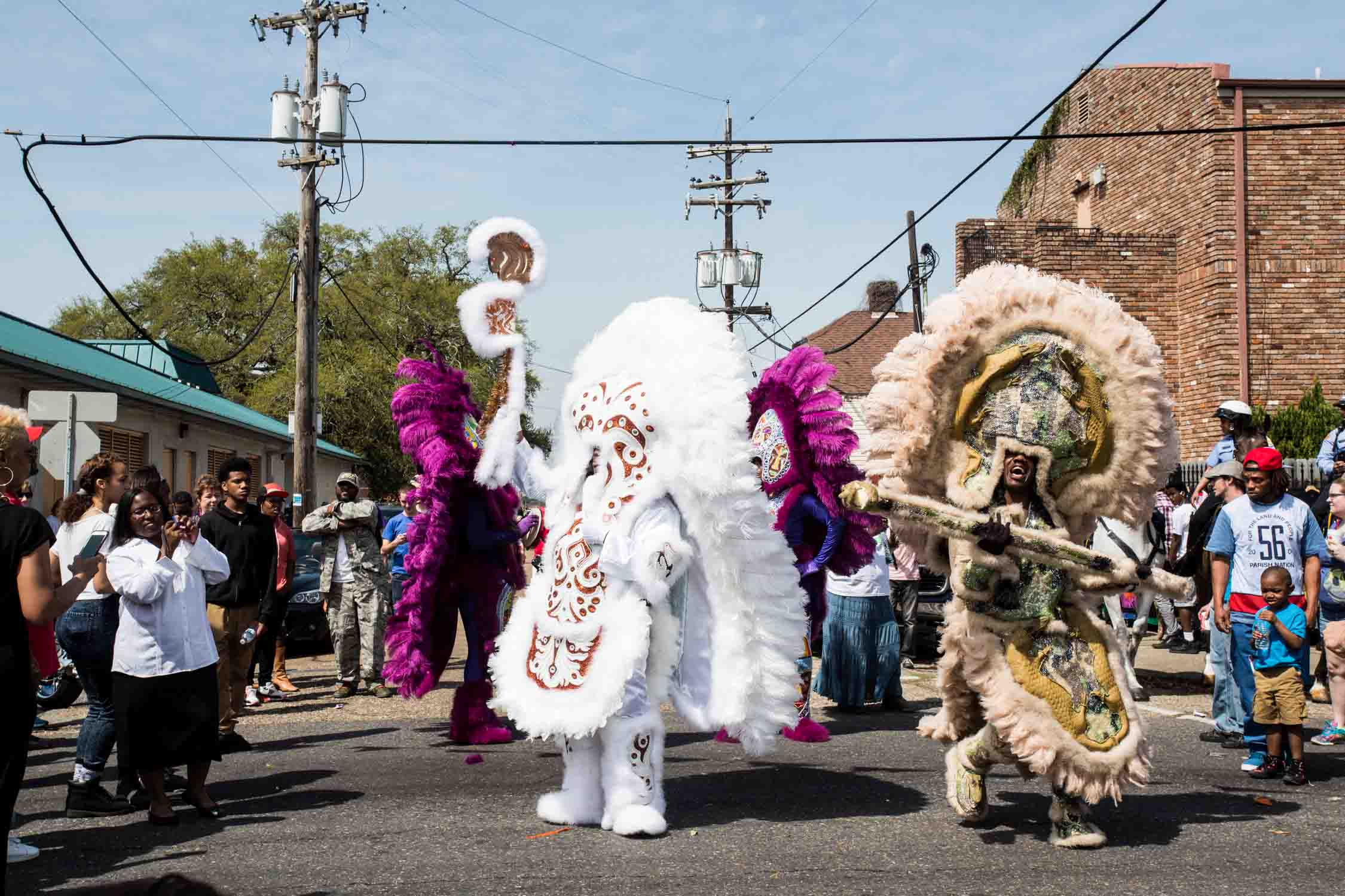 mardi gras indians-201503153550.jpg