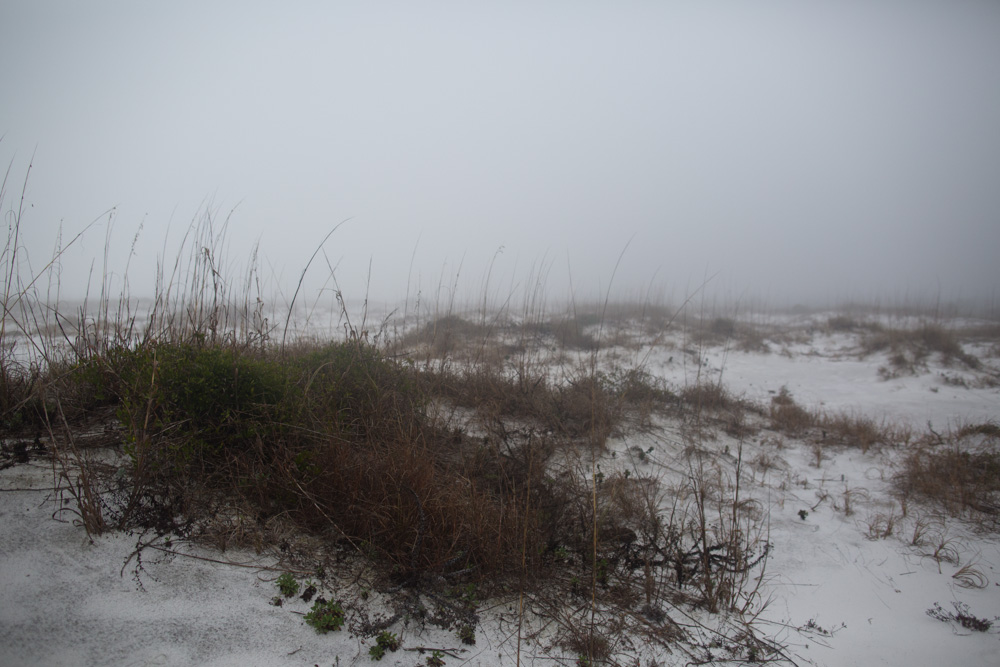 KB_foggy-beach-3737.jpg