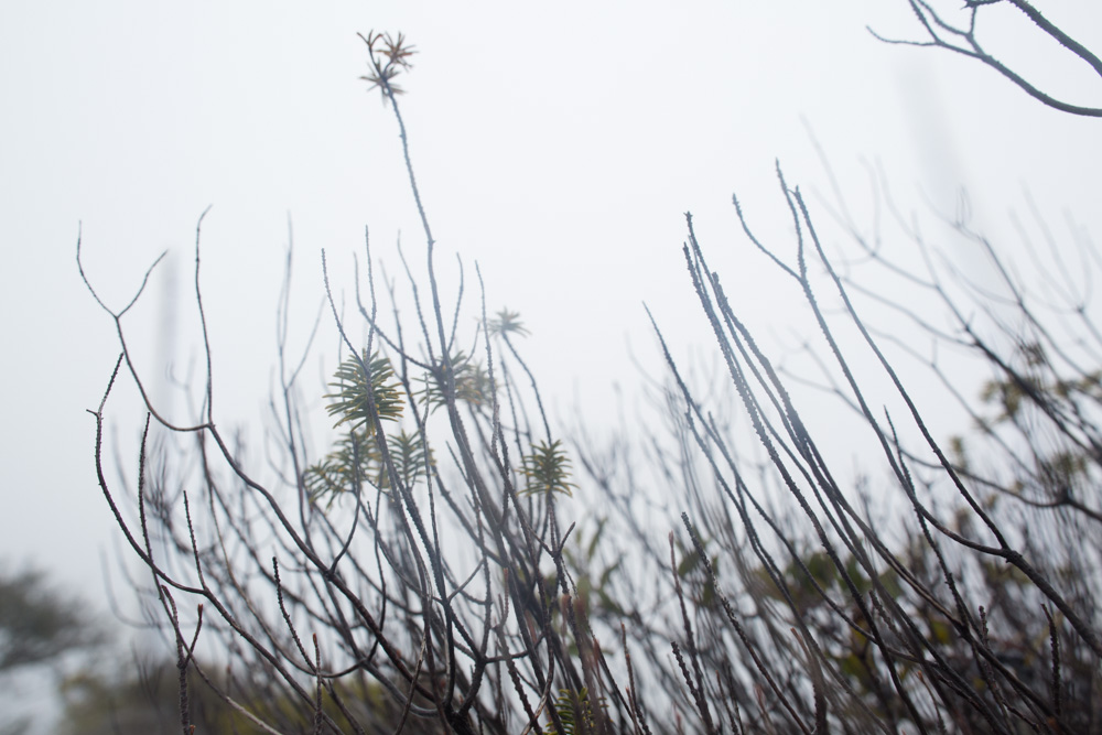 KB_foggy-beach-3752.jpg