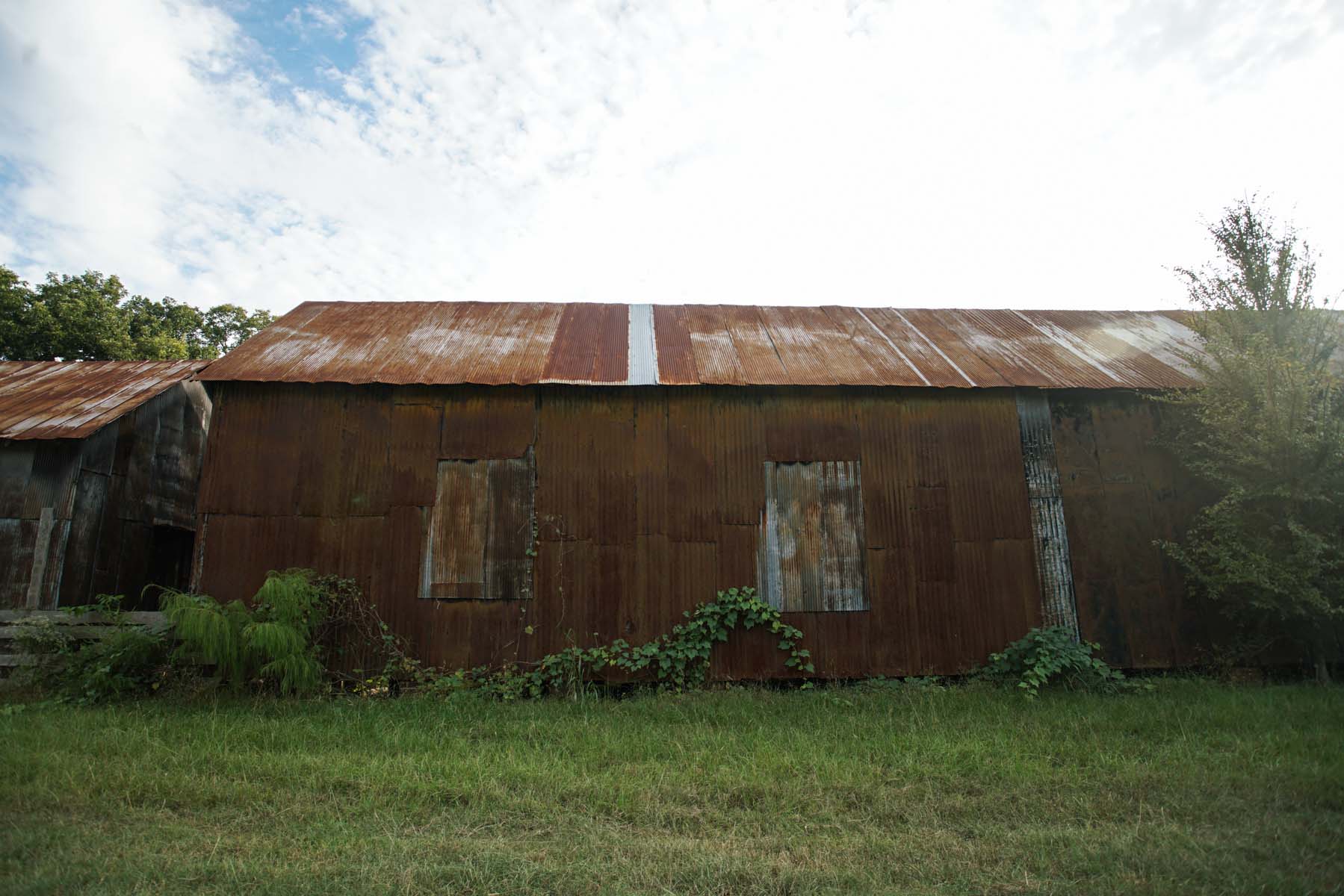 RA_hale county vernacular-07062.jpg