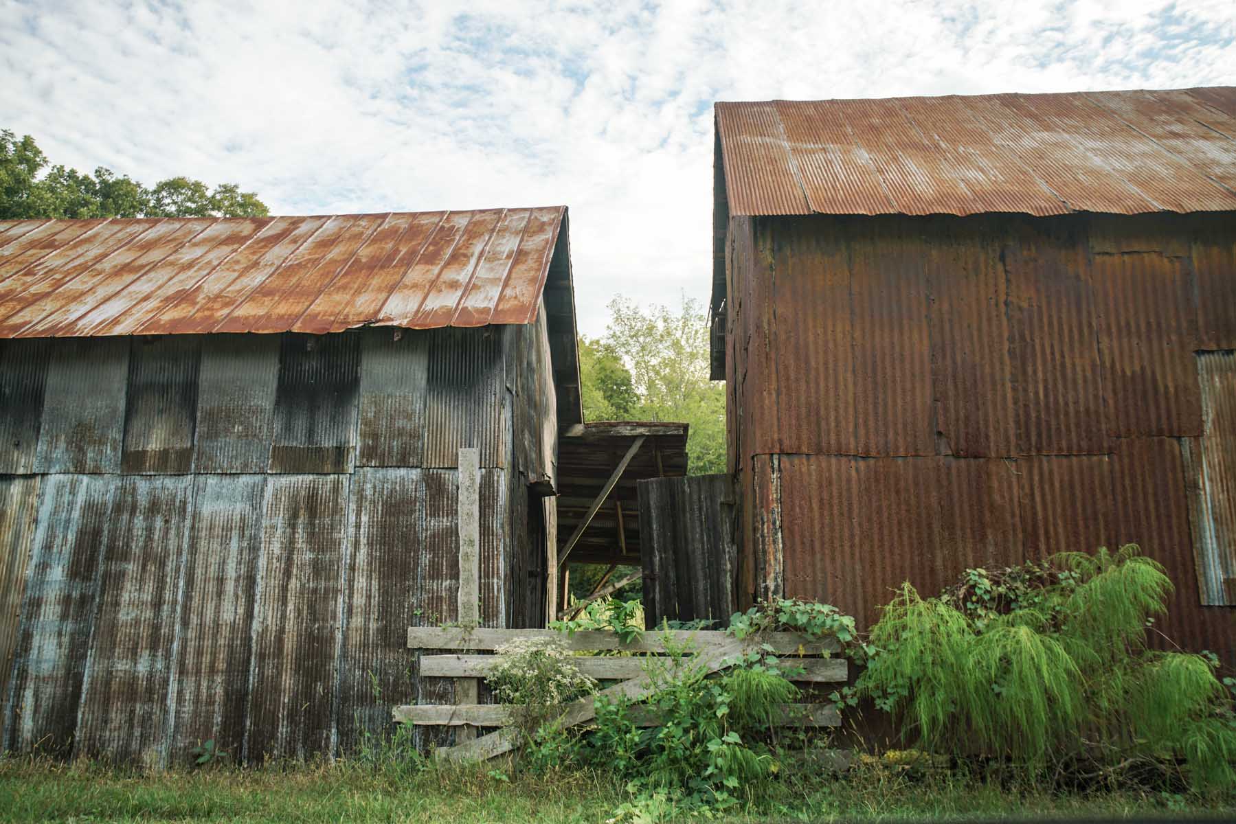 RA_hale county vernacular-07078.jpg