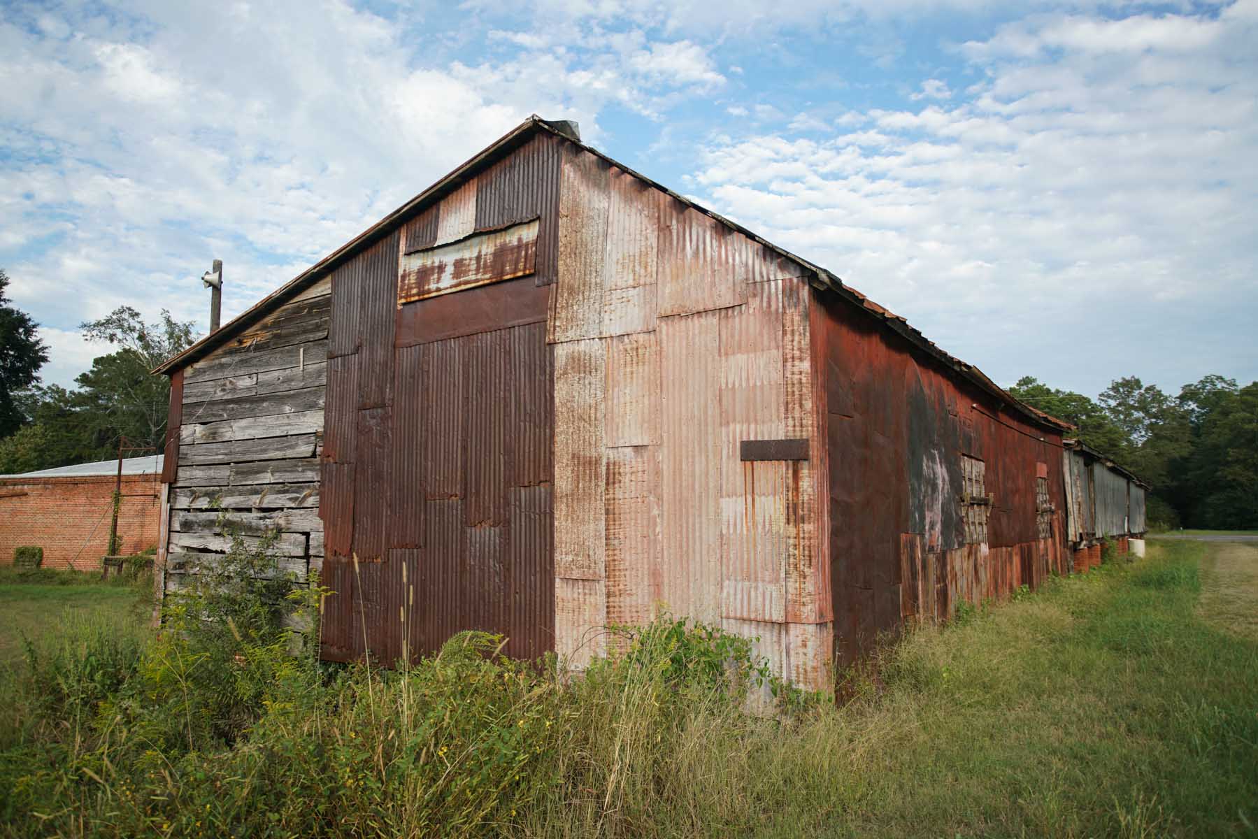 RA_hale county vernacular-07080.jpg