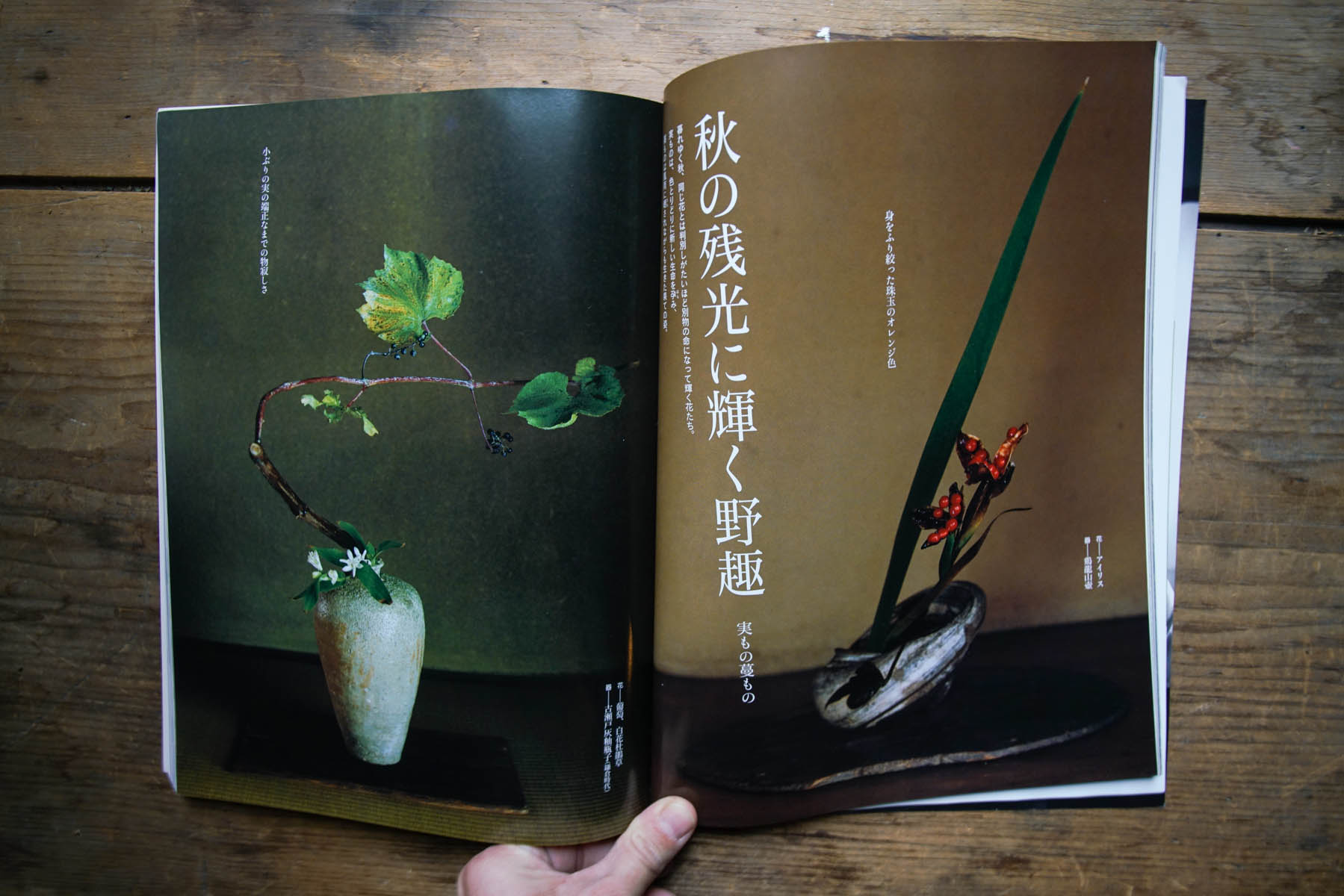 RA_ikebana book-2016121205666.jpg